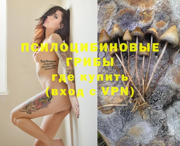 трава Абдулино