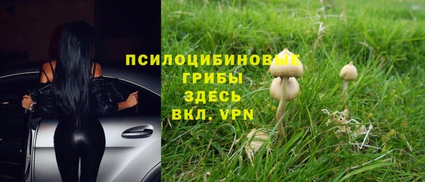 скорость Абаза