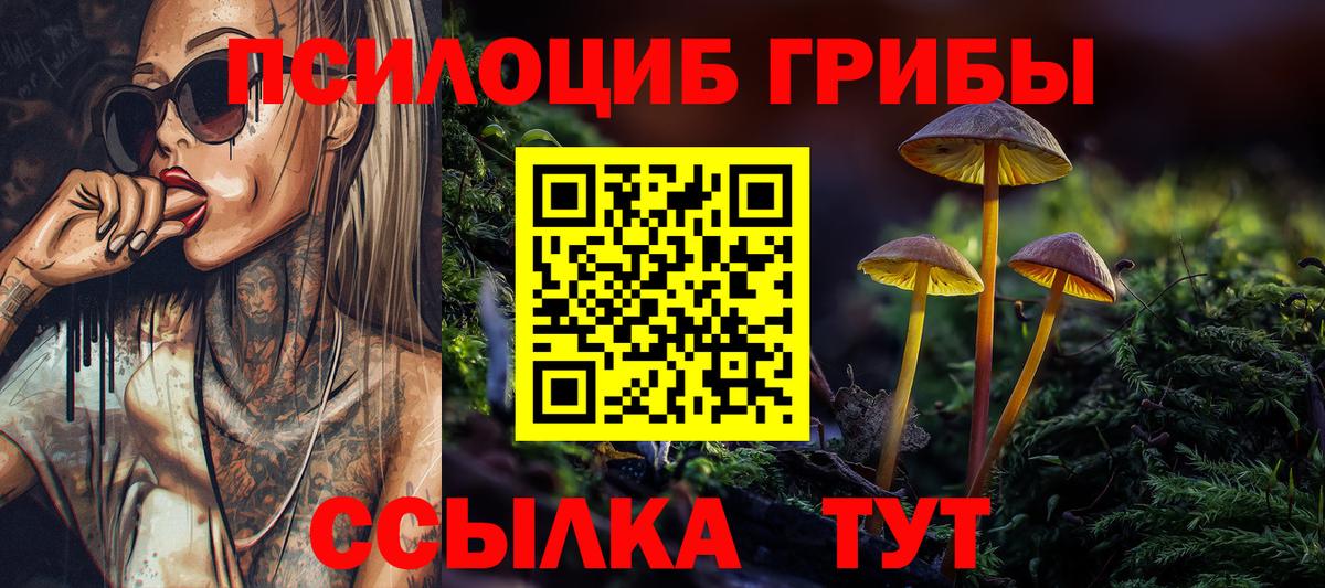 Псилоцибиновые грибы GOLDEN TEACHER Лиски