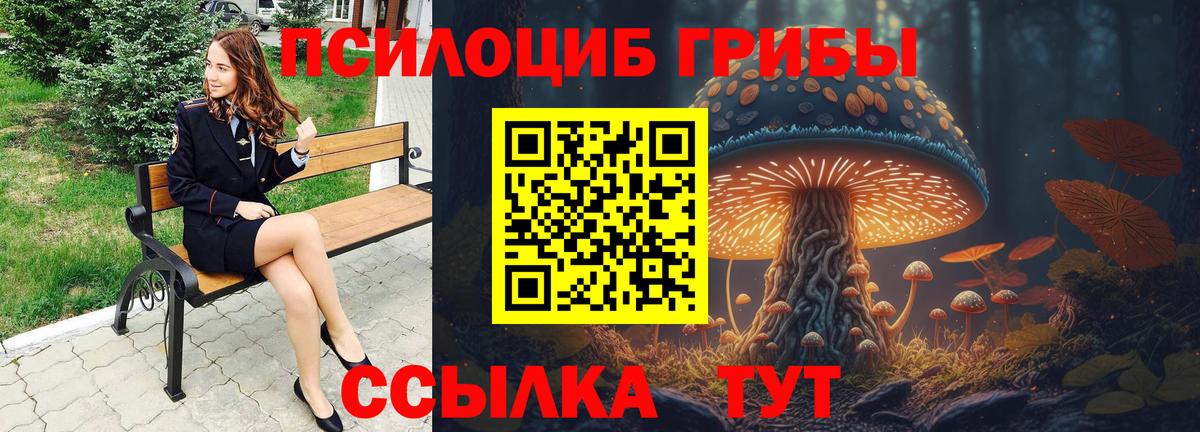 Лиски  Галлюциногенные грибы Psilocybine cubensis  Псилоцибиновые грибы GOLDEN TEACHER  Вход с VPN 